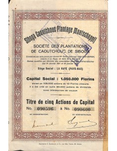 1922 - SIBOGA CAOUTCHOUC PLANTAGE MAATSCHAPPIJ