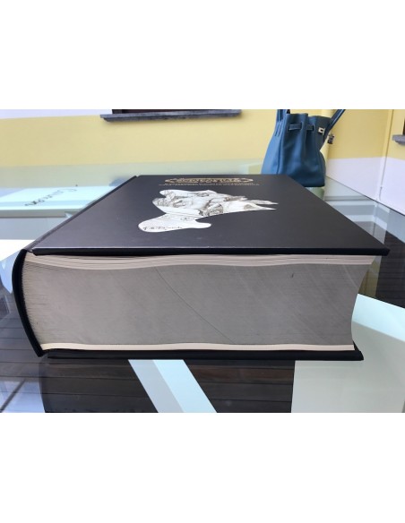 Libro museale: Il collezionismo di titoli finanziari storici. Italia, Dagli Stati Preunitari alla Repubblica di Alberto Puppo