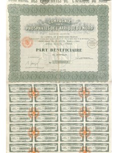 1928 - PHOSPHATES DE L'AFRIQUE DU NORD COMP. DES