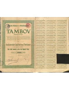 1911 - TAMBOV SOC. MINIERE ET METALLURGIQUE DU
