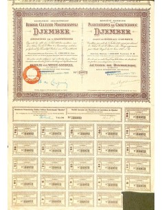 1925 - PLANTATIONS DE CAOUTCHOUC DE DJEMBER SOC. ANON. DES
