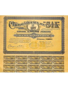 1920 - CARBONIFERA DEL SIL SOC. ANON.