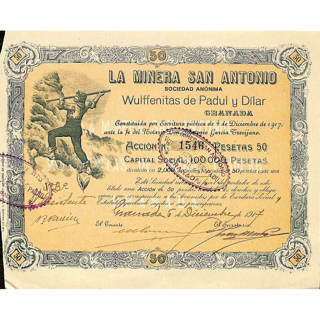 1917 - LA MINERA SAN ANTONIO SOC. ANON.