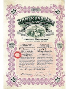 1924 - SIMMER AND JACK MINES, LIMITED