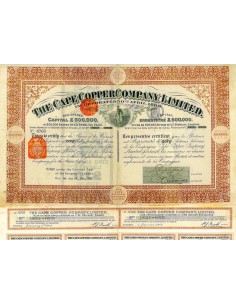 1890 - THE CAPE COPPER COMPANY, LIMITED (5 AZIONI)