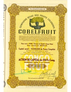 1951 - COBELFRUIT - COMP. BELGE DES FRUITS COLONIAUX