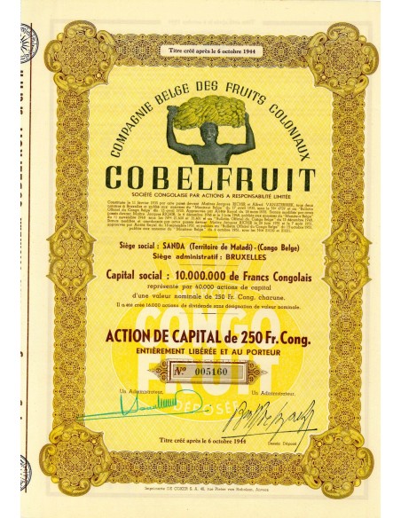 1951 - COBELFRUIT - COMP. BELGE DES FRUITS COLONIAUX