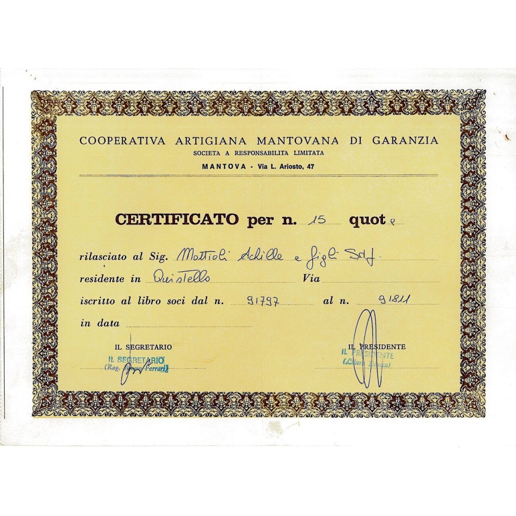 1955 - ARTIGIANA MANTOVANA DI GARANZIA COOP.