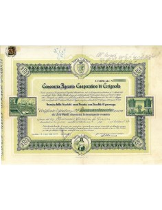 1936 - CONSORZIO AGRARIO COOPERATIVO DI CERIGNOLA