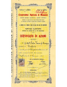 1913 - COOPERATIVA AGRICOLA DI MONDOVI'