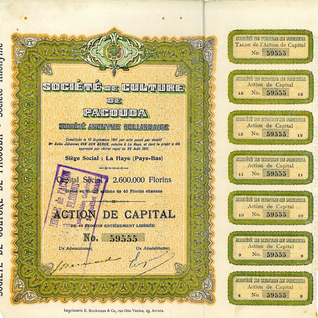 1911 - CULTURE DE PACOUDA SOC. DE