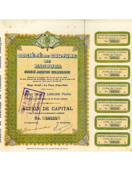 1911 - CULTURE DE PACOUDA SOC. DE