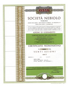 1977 - NEBIOLO SOC. - TORINO (20 AZIONI)