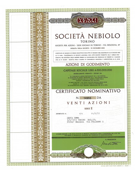 1977 - NEBIOLO SOC. - TORINO (20 AZIONI)