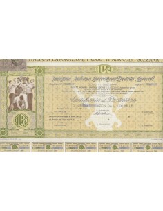 INDUSTRIA ITALIANA LAVORAZIONE PRODOTTI AGRICOLI - 1 AZIONE SUZZARA 1920