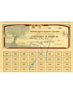 1910 - SINDACATO AGRICOLO COOPERATIVO PIEMONTESE