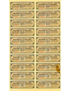 1911 - WESTERN MICHIGAN HOMES AND ORCHARD ASS. 6% $ 100 2