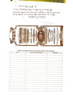 1918 - GILA COPPER SULPHIDE COMPANY $ 100 2