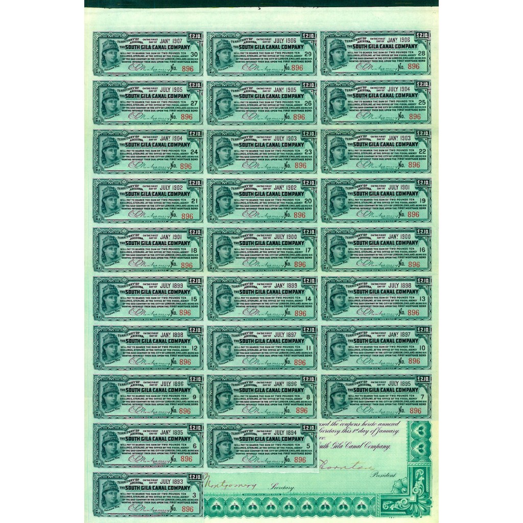 1907 - THE SOUTH GILA CANAL COMPANY  $ 100