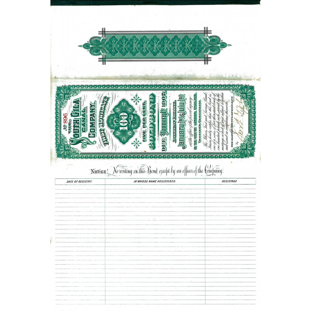 1907 - THE SOUTH GILA CANAL COMPANY  $ 100