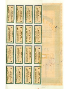 1925 - ELETTRICITA' E GAS DI ROMA - 1 AZIONE - ROMA 2