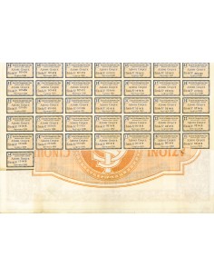 1924 - ITALIANA PER IL GAS - 5 AZIONI - TORINO 2