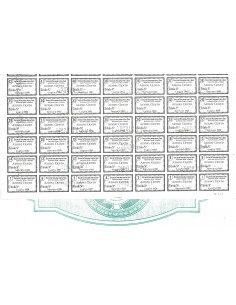 1924 - ITALIANA PER IL GAS - 100 AZIONI - TORINO 2