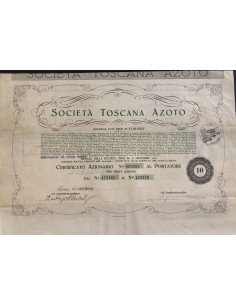 1938 - SOCIETA' TOSCANA AZOTO - 10 AZIONE - TORINO