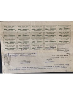 1938 - SOCIETA' TOSCANA AZOTO - 10 AZIONE - TORINO 2