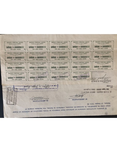 1938 - SOCIETA' TOSCANA AZOTO - 10 AZIONE - TORINO