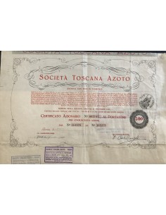 1938 - SOCIETA' TOSCANA AZOTO - 500 AZIONE - TORINO