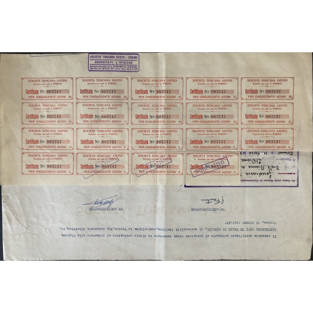 1938 - SOCIETA' TOSCANA AZOTO - 500 AZIONE -...