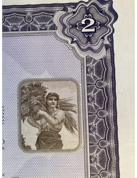 1964 - MOTTA S.p.A PER L'INDUSTRIA DOLCIARIA ED ALIMENTARE 2 AZIONI - MILANO