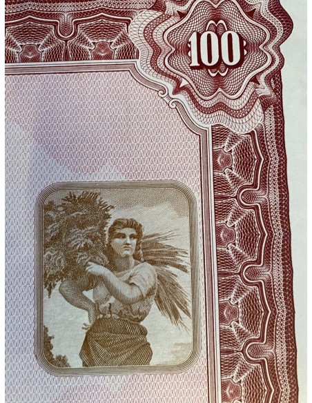 1955 - MOTTA S.p.A PER L'INDUSTRIA DOLCIARIA ED ALIMENTARE 100 AZIONI - MILANO