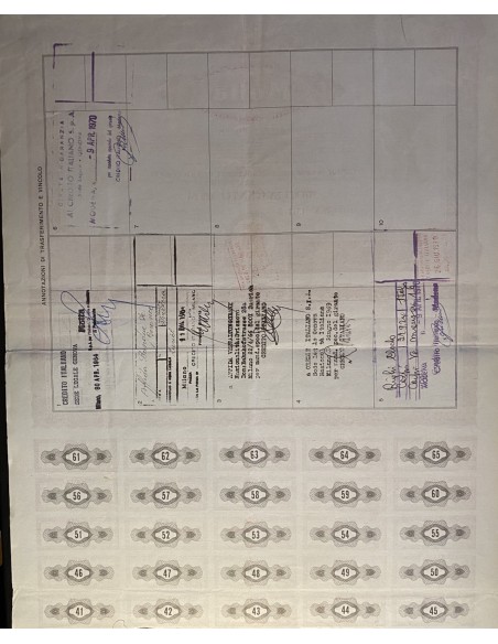 1955 - MOTTA S.p.A PER L'INDUSTRIA DOLCIARIA ED ALIMENTARE 100 AZIONI - MILANO