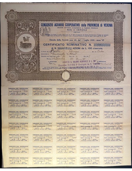 1929 - CONSORZIO AGRARIO COOPERATIVO DELLA PROVINCIA DI VERONA 1 AZIONE