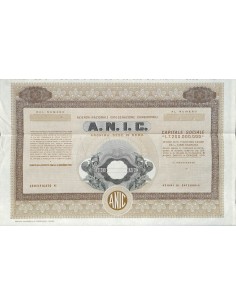 A.N.I.C. AZIENDA NAZ. IDROGENAZIONE COMBUSTIBILI - AZIONI ROMA