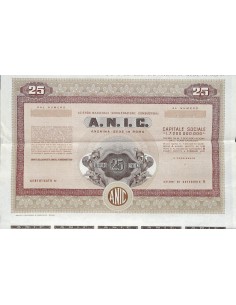 A.N.I.C. AZIENDA NAZ. IDROGENAZIONE COMBUSTIBILI - 25 AZIONI ROMA