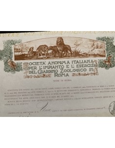 SOC` ANON. ITAL. PER L` IMPIANTO DEL GIARDINO ZOOLOGICO 5 AZIONI ROMA 1909 2