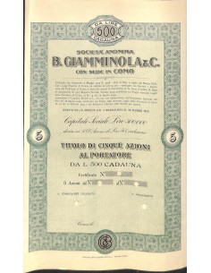 SOC. ANON. B. GIAMMINOLA & C. - 5 AZIONI COMO 1924