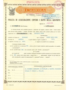 1934 - L'AGRICOLA - GRANDINE - MANTOVA