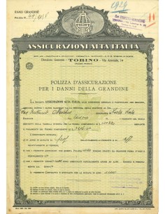 1929 - ASSICURAZIONI ALTA ITALIA - GRANDINE - VERONA