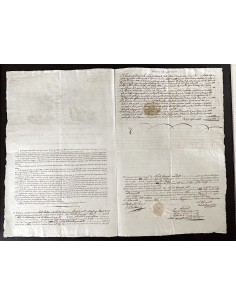 1834 - COMPAGNIA D'ASSICURAZIONE - INCENDIO - FERRARA 2