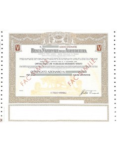 BANCA NAZIONALE DELL'AGRICOLTURA - AZIONI - ROMA 1921