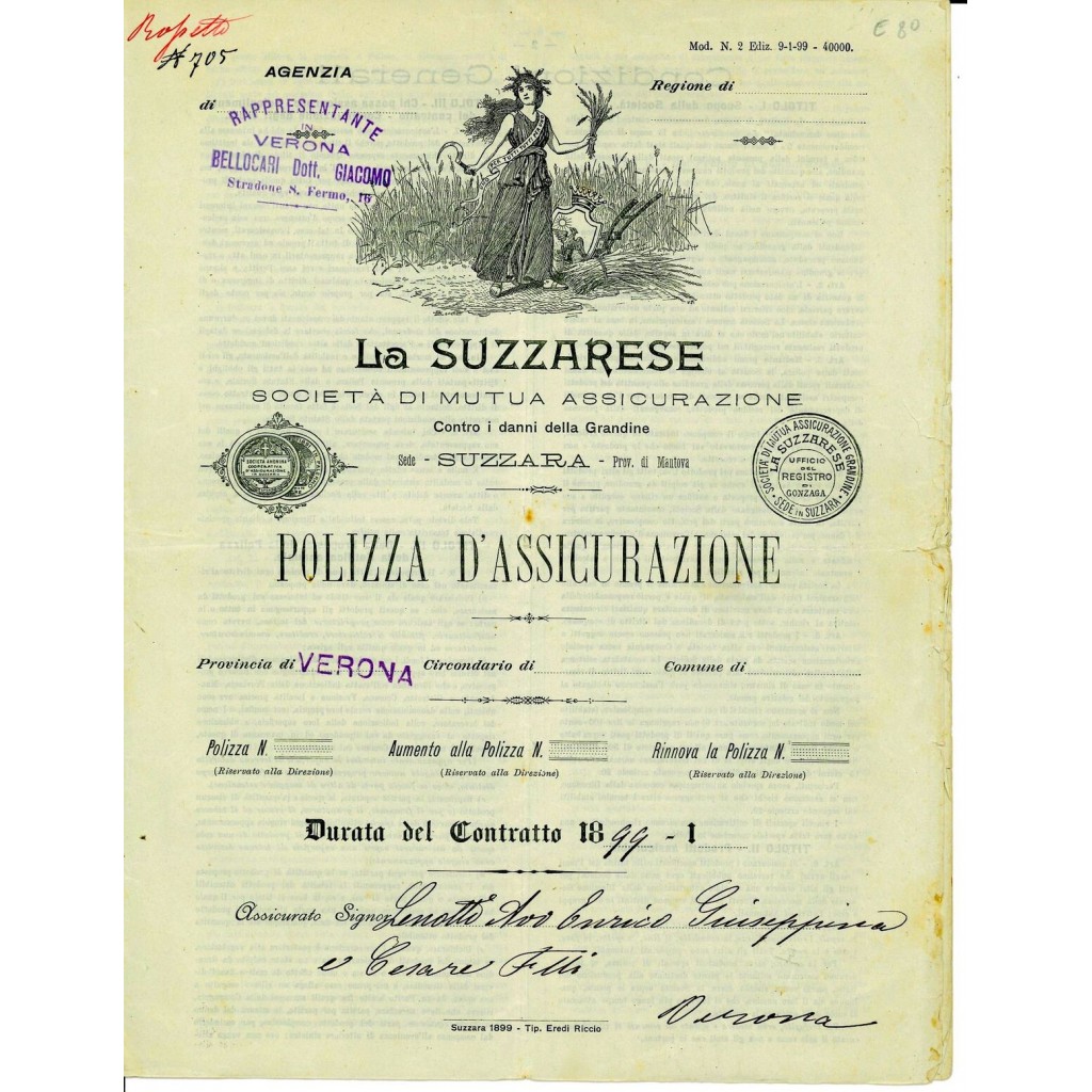 1899 - LA SUZZARESE - GRANDINE - VERONA