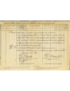 1899 - LA SUZZARESE - GRANDINE - VERONA 2