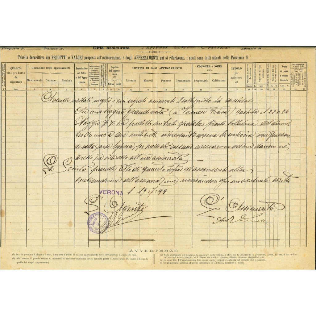 1899 - LA SUZZARESE - GRANDINE - VERONA