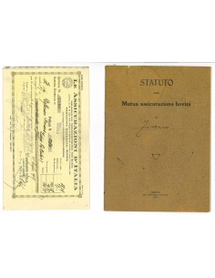 1928 - LE ASSICURAZIONI D'ITALIA MUTUA ASSICURAZIONI...
