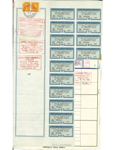 1984 - SOCIETA' PETROLIFERA ITALIANA - 100 AZIONI -... 2