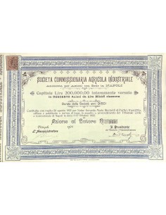 SOC. COMMISSIONARIA AGRICOLA IND. - UNA AZIONE NAPOLI 1902